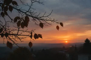 Çocuklarda Geniz Eti Büyümesi İhmal Edilmemeli